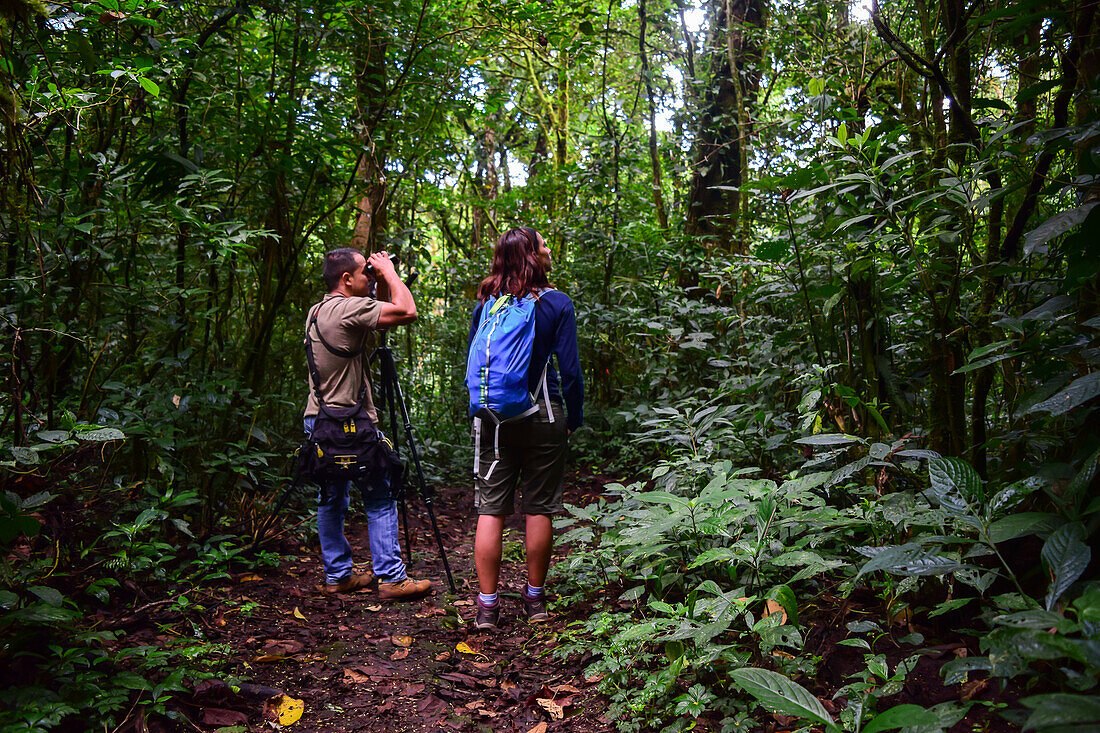 George of the Cloud Forest,Führer und Spezialist,führt eine junge Frau durch den Monterey-Nebelwald während einer Faunatour,Costa Rica