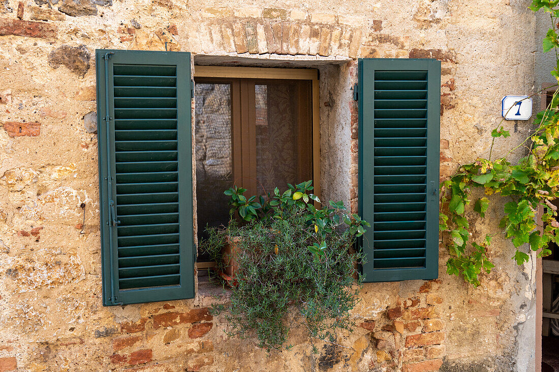 Wooden shutters on a building in the medieval walled town of Monteriggioni, Sienna, Tuscany, Italy. A potted plant is on the windowsill.