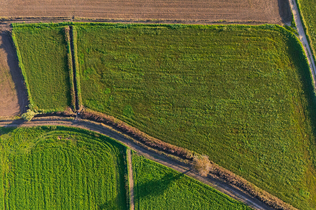 Aerial view of the fields in La Alfranca area in Zaragoza, Spain