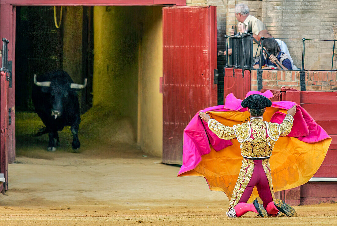 Eine dramatische Szene in einer spanischen Stierkampfarena,in der ein Stierkämpfer kniet und auf den Auftritt des Stiers wartet. Ein Bild der kulturellen Tradition und des Mutes.