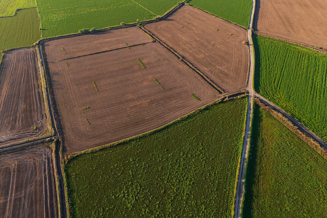 Aerial view of the fields in La Alfranca area in Zaragoza, Spain