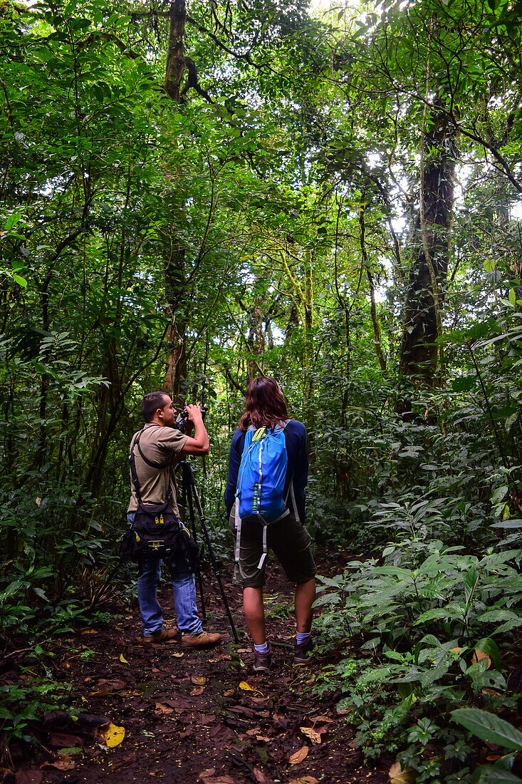 George of the Cloud Forest,Führer und Spezialist,führt eine junge Frau durch den Monterey-Nebelwald während einer Faunatour,Costa Rica