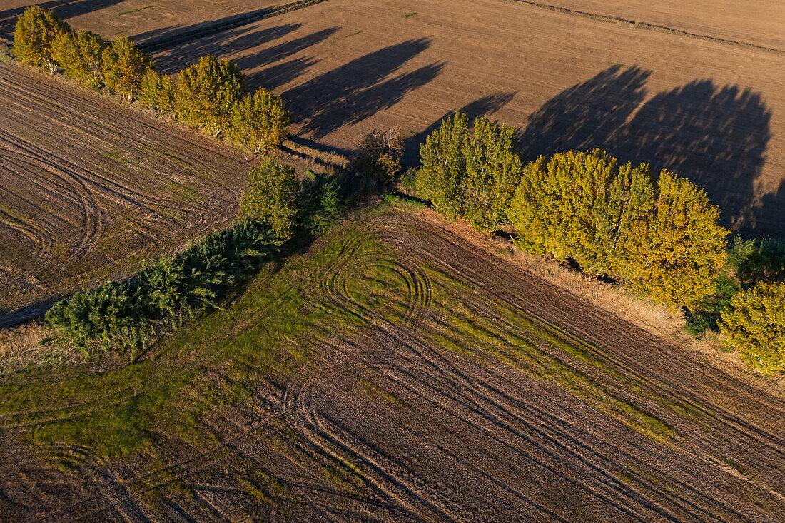 Aerial view of tractor marks on the ground of the fields in La Alfranca area in Zaragoza, Spain