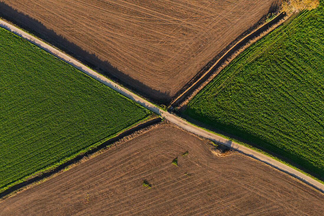 Aerial view of the fields in La Alfranca area in Zaragoza, Spain