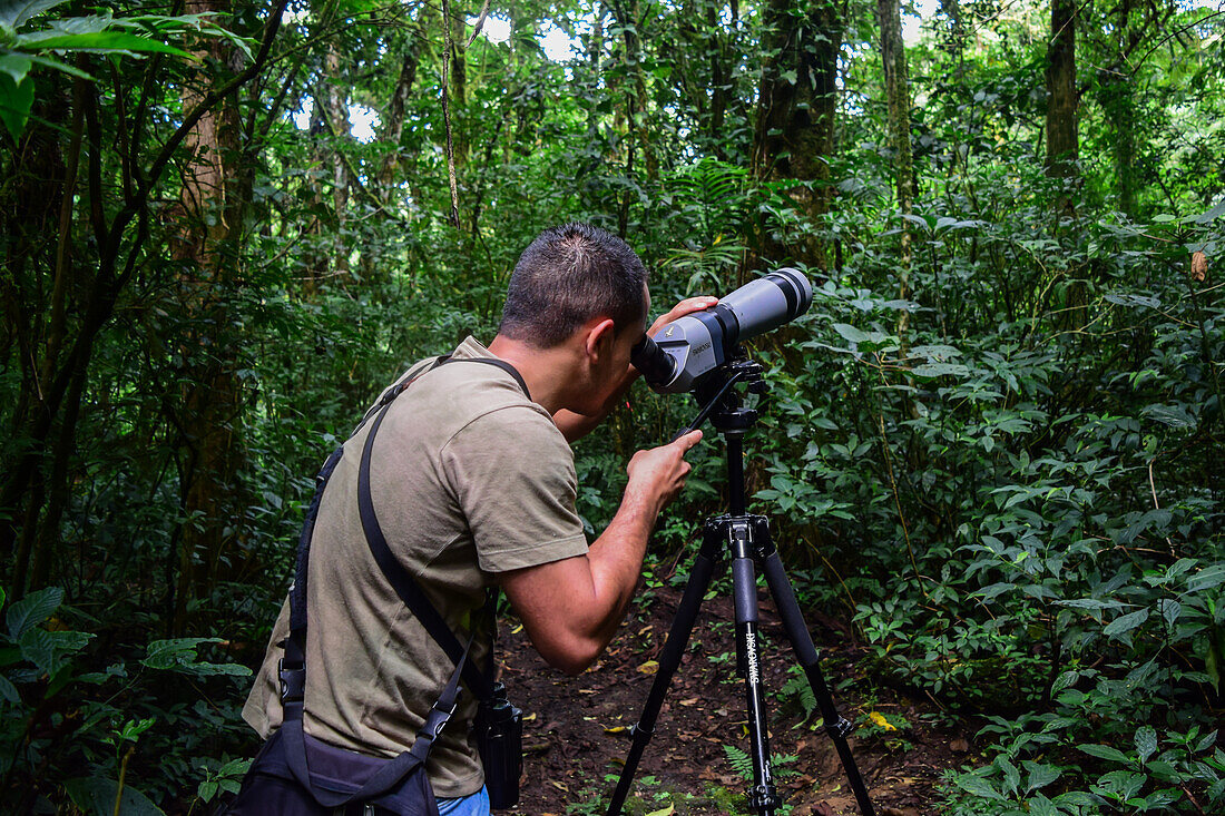 George of the Cloud Forest,Führer und Spezialist,bei der Verwendung eines Spektivs im Monterey-Nebelwald während einer Faunatour,Costa Rica