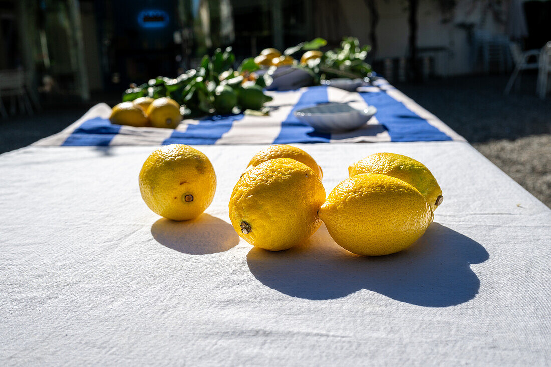 A close up of bright lemons on a tablecloth at an outdoor wedding party in Malaga, Spain. The scene captures a sunny and vibrant atmosphere.