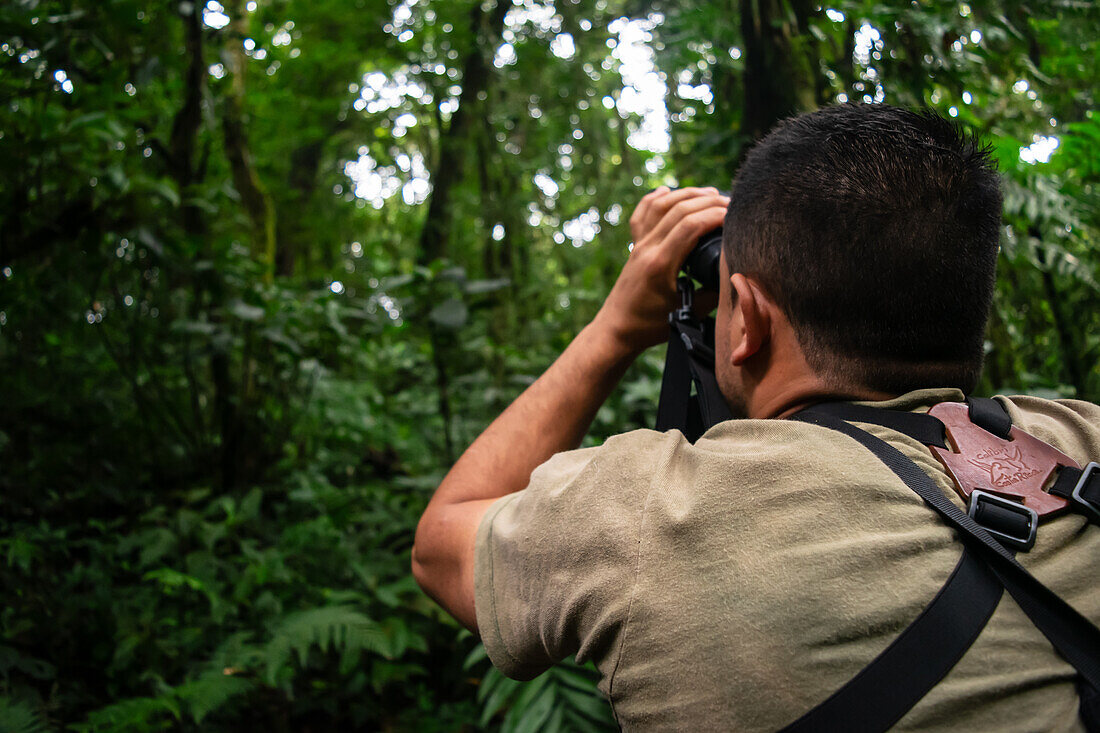 George of the Cloud Forest,Führer und Spezialist,benutzt ein Fernglas,um die Tierwelt im Monterey-Nebelwald während einer Faunatour zu beobachten,Costa Rica