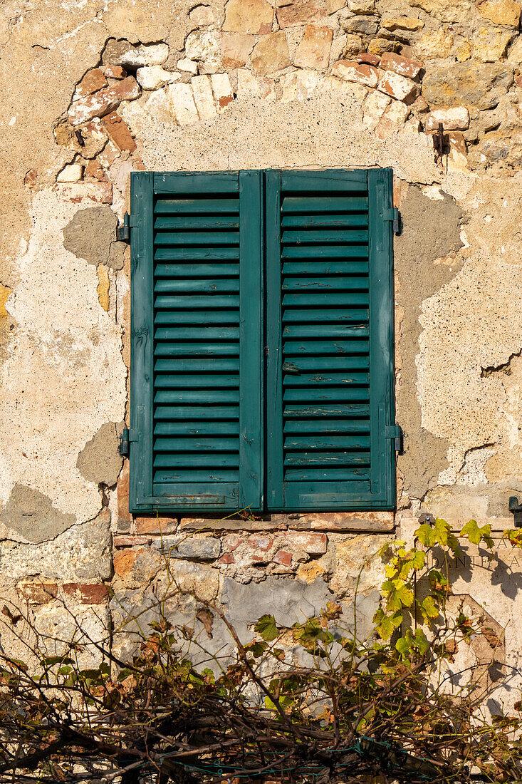 Wooden shutters on a building in the medieval walled town of Monteriggioni, Sienna, Tuscany, Italy.