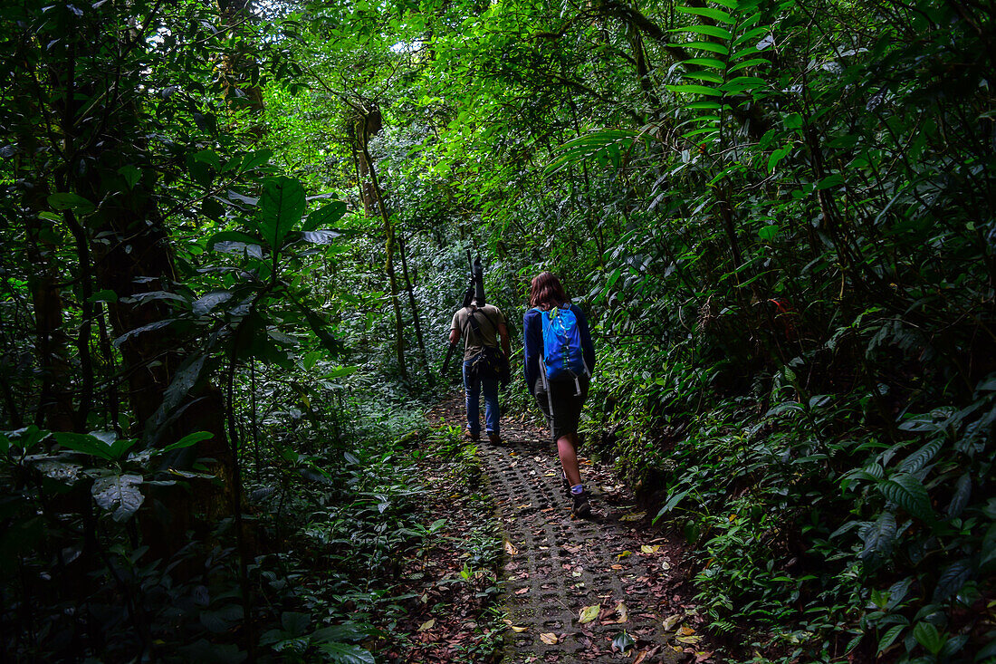 George of the Cloud Forest, guide and specialist, guides a young woman through Monterey cloud forest during fauna tour, Costa Rica