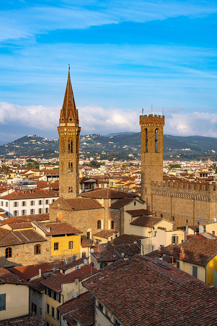 View of the towers of the Badia Fiorentina & Palazzo del Bargello seen from the Palazzo Vecchio tower in Florence, Italy.