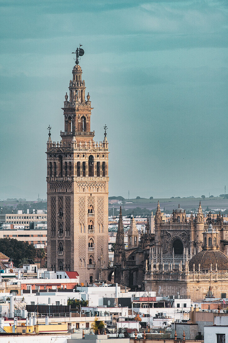 Iconic Giralda Tower and Catedral de Sevilla in urban landscape during clear sunny weather.