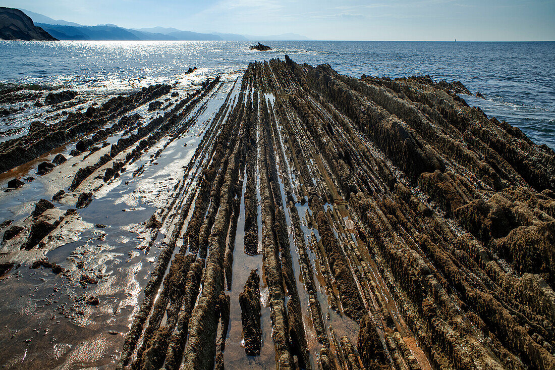 Strand von Itzurun und Flysch de Zumaia, Sedimentgesteinsformationen, Geopark Baskische Küste, Zumaia, Gipuzkoa, Baskenland, Spanien