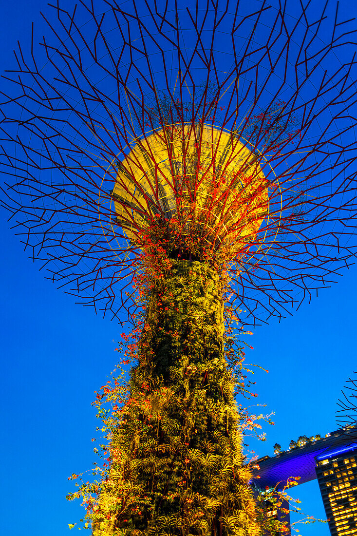 Light and music show in Gardens by the Bay park Supertrees elevated walkway skyway between colourful lit Super Trees, Gardens by the Bay, Singapore