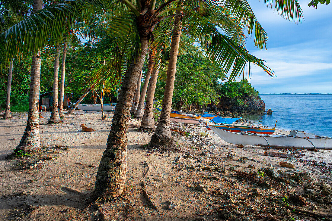 Traditional boats moored in Logon beach, Malapascua island, Cebu, Philippines