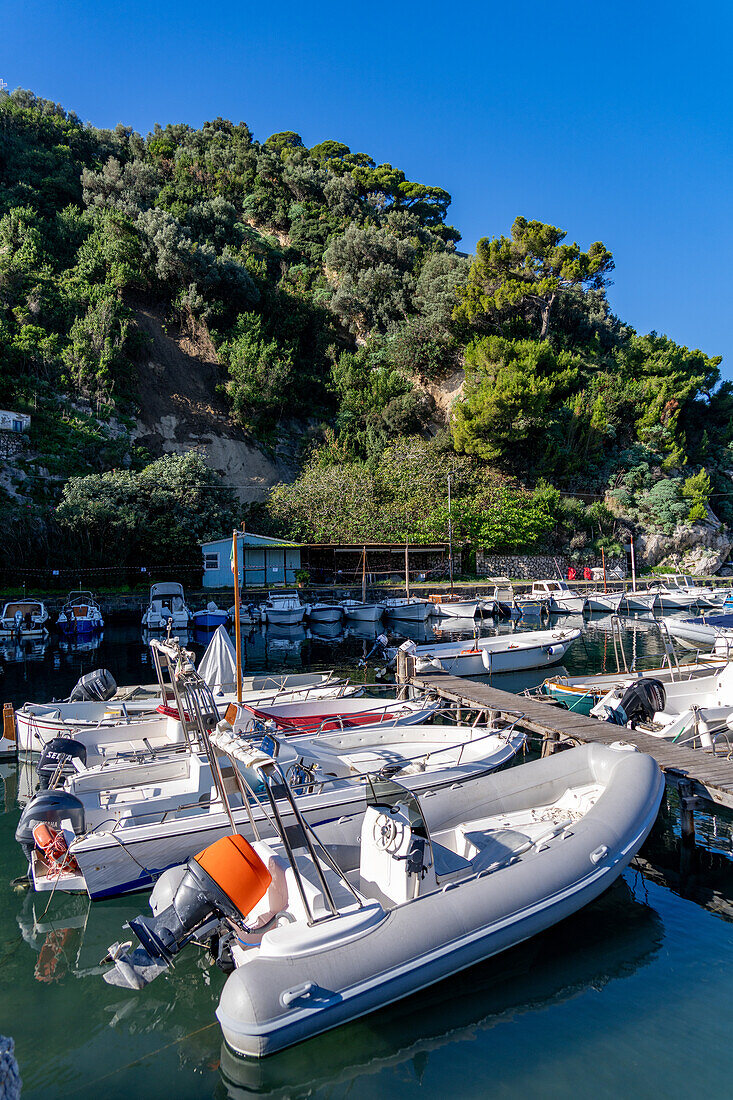 Boats in the Marina Grande in Sorrento, Italy.