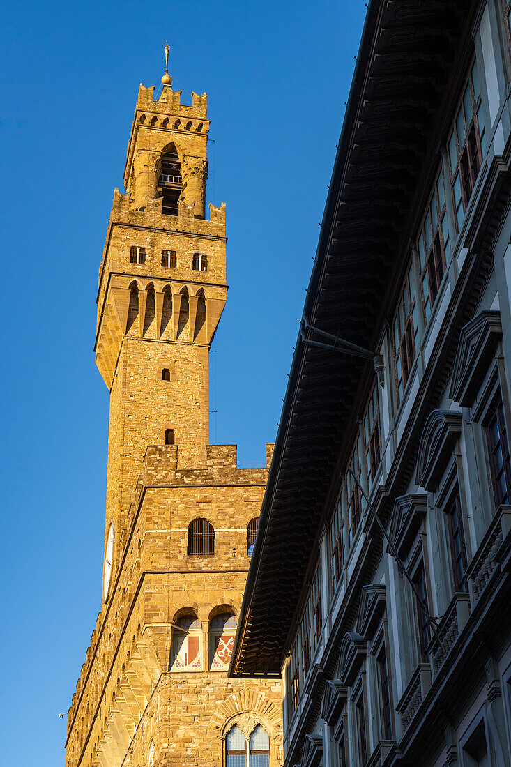 Der Arnolfo-Turm am Palazzo Vecchio in Florenz, Italien.