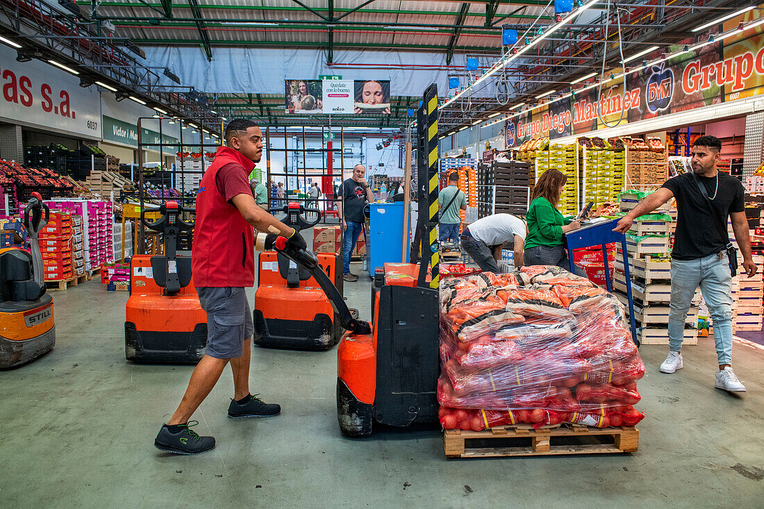 Fruit and Vegetable section, in Mercabarna. Barcelona´s Central Markets. Barcelona. Spain