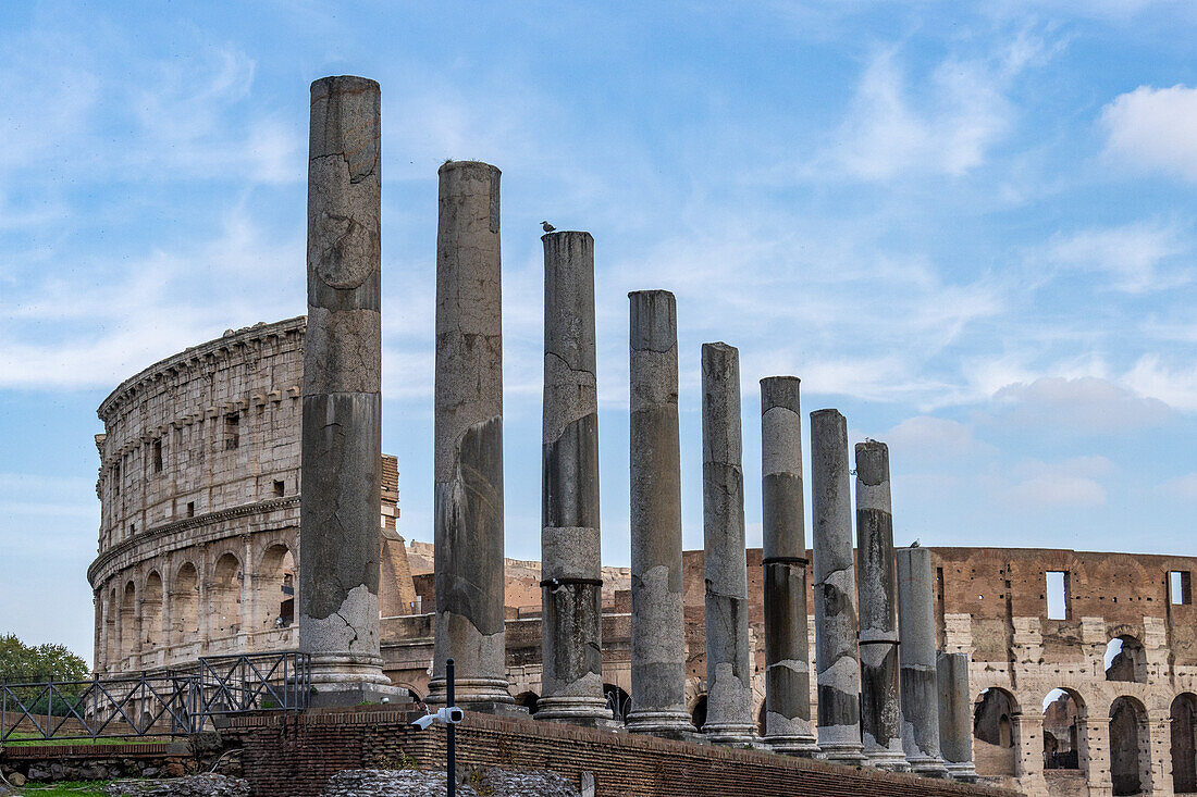 The columns of the Temple of Venus and Roma the Colosseum or Flavian Amphitheater in Rome, Italy.