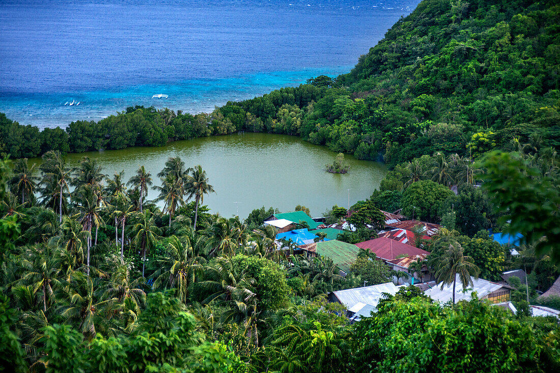 Innere Lagune und Palmen an der Felsenküste von Apo Island, Dauin, Negros Oriental, Philippinen.