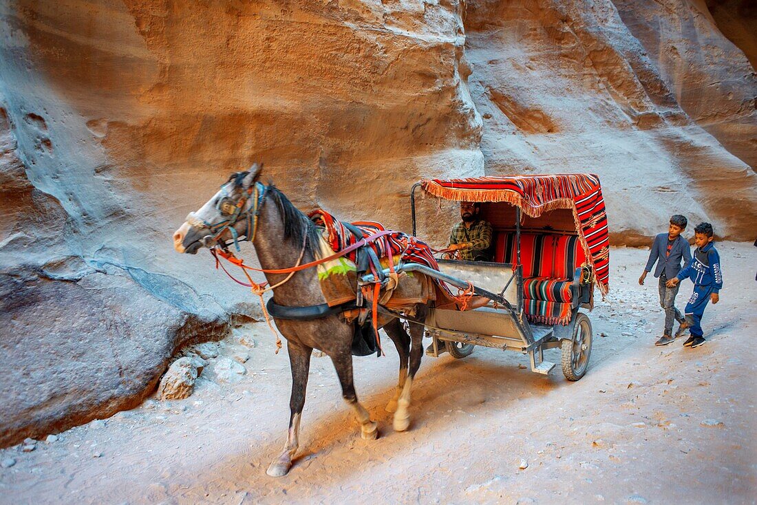 Beduine auf Pferdewagen im Siq, Petra, UNESCO-Weltkulturerbe, Jordanien. Äußerer Siq Gelber Canyon Morgenwanderung zum Eingang in Petra Jordanien Petra Jordanien. Bunte gelbe rosa Canyon wird rosa rot, wenn die Sonne geht