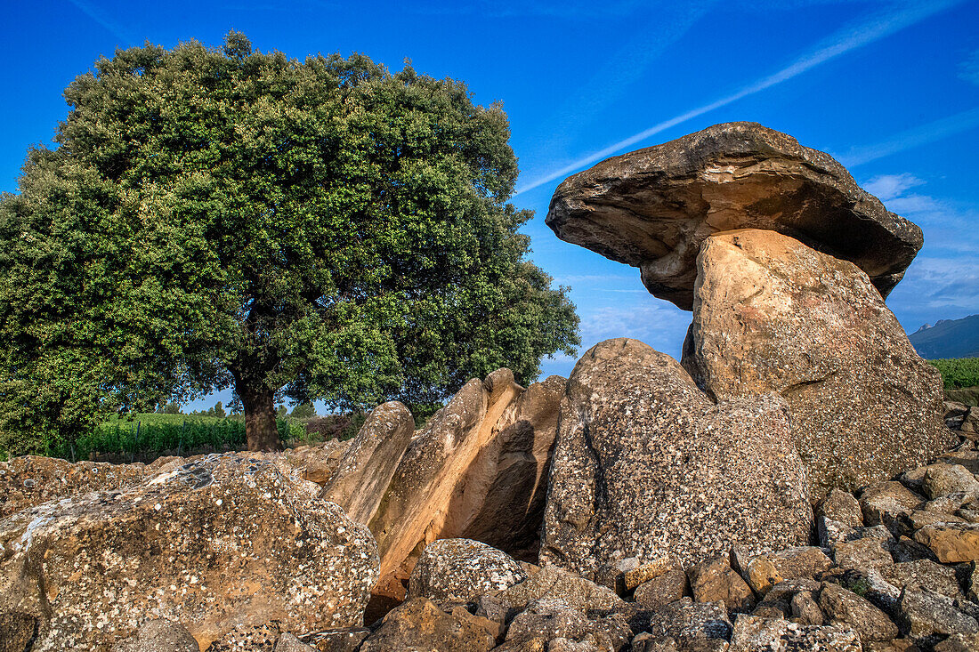 Sorgiñaren Txabola, Chabola de La Hechicera dolmen neolithic, Elvillar, Alava, araba Basque Country, Euskadi Spain.