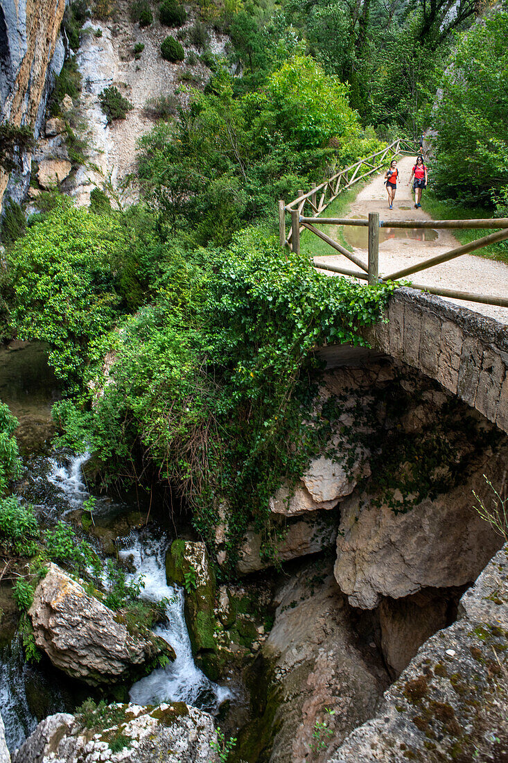 Desfiladero del rio Purón, Schlucht des Flusses Purón im Naturpark Valderejo. Alava. Baskenland. Spanien