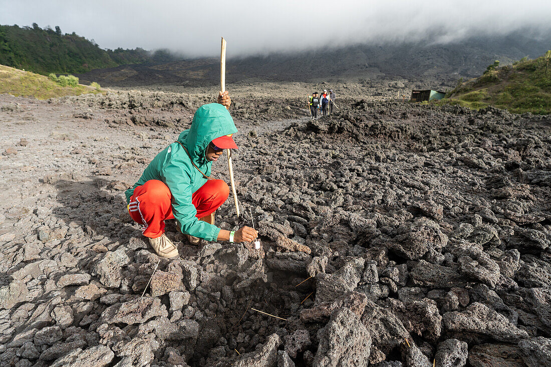 Ein Marshmallow schmilzt am Vulkan Pacaya, Guatemala