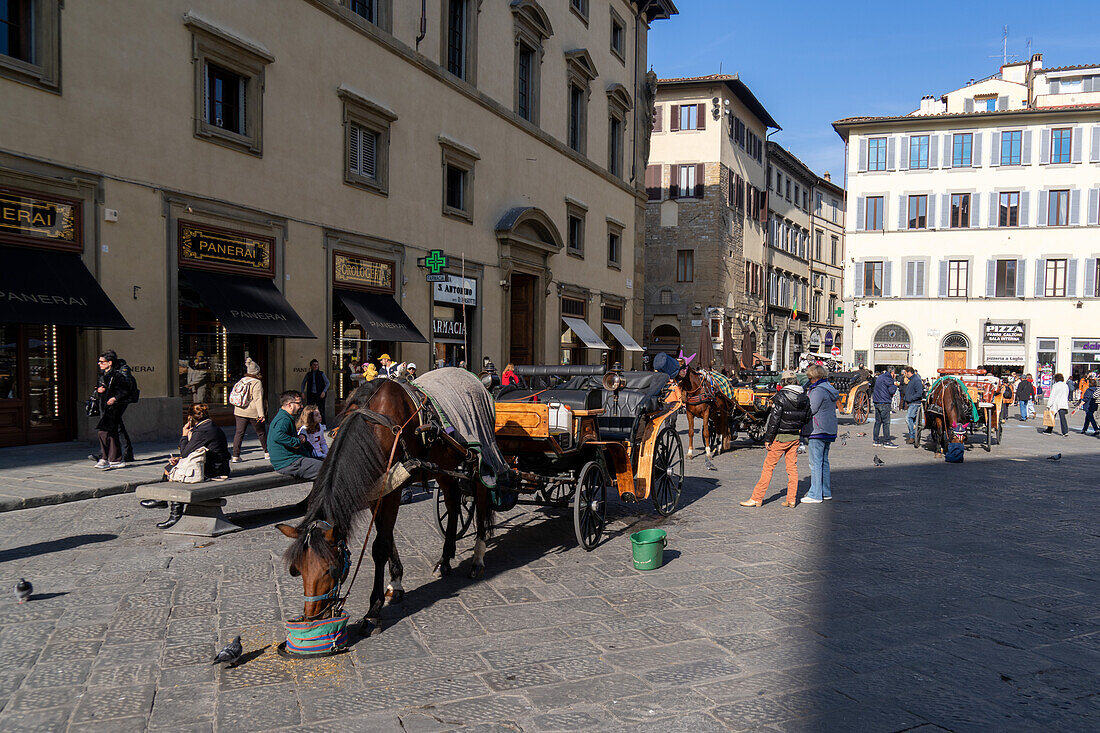 Horse-drawn carriages for tourists in the Piazza San Giovanni in historic Florence, Italy.