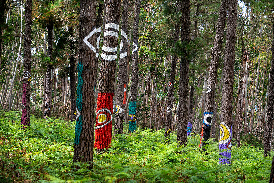 Oma Forest is a work of art by Agustin Ibarrola, a Basque sculptor and painter, in the natural reserve of Urdaibai, Oma, Vizcaya, Basque country Euskadi, Spain