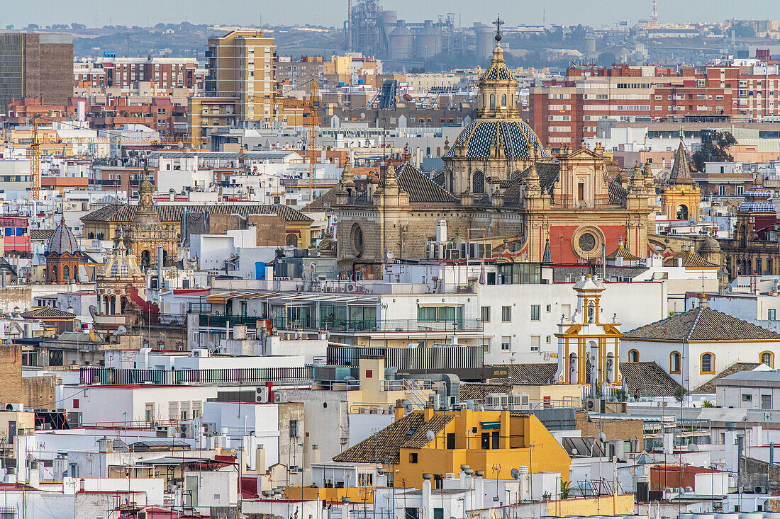 El Salvador Church stands prominently within the intricate skyline of Seville's central area.