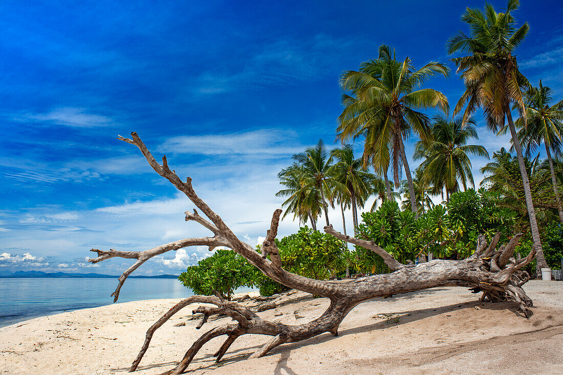 Kalanggaman island beach, Malapascua, Cebu, Philippines