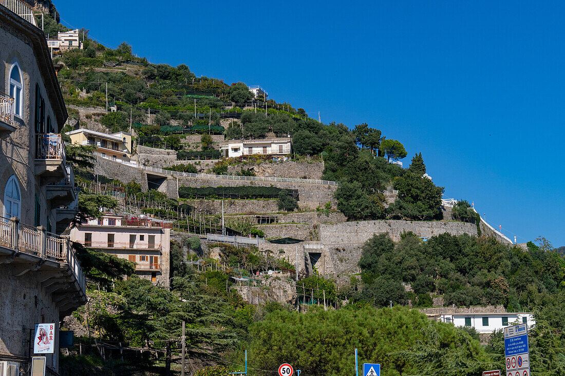 The winding road up to Ravello through orchards & vineyards on the Amalfi Coast of Italy.