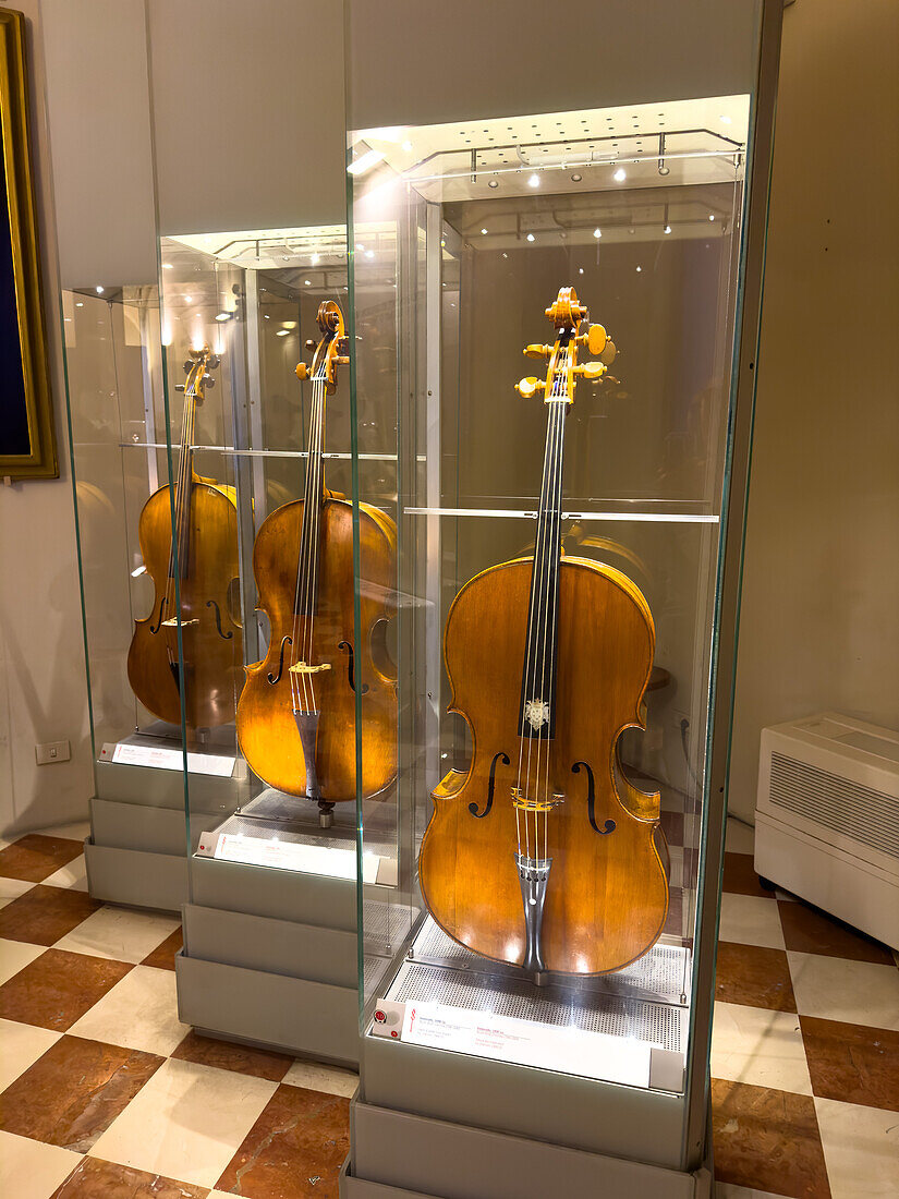 Violincellos in der Accademia-Galerie in Florenz, Italien. Das vordere Cello ist ein Werk von Nicolo Amati, um 1650. Die beiden anderen Celli stammen von Fabrizio Senta und Rocco Doni.