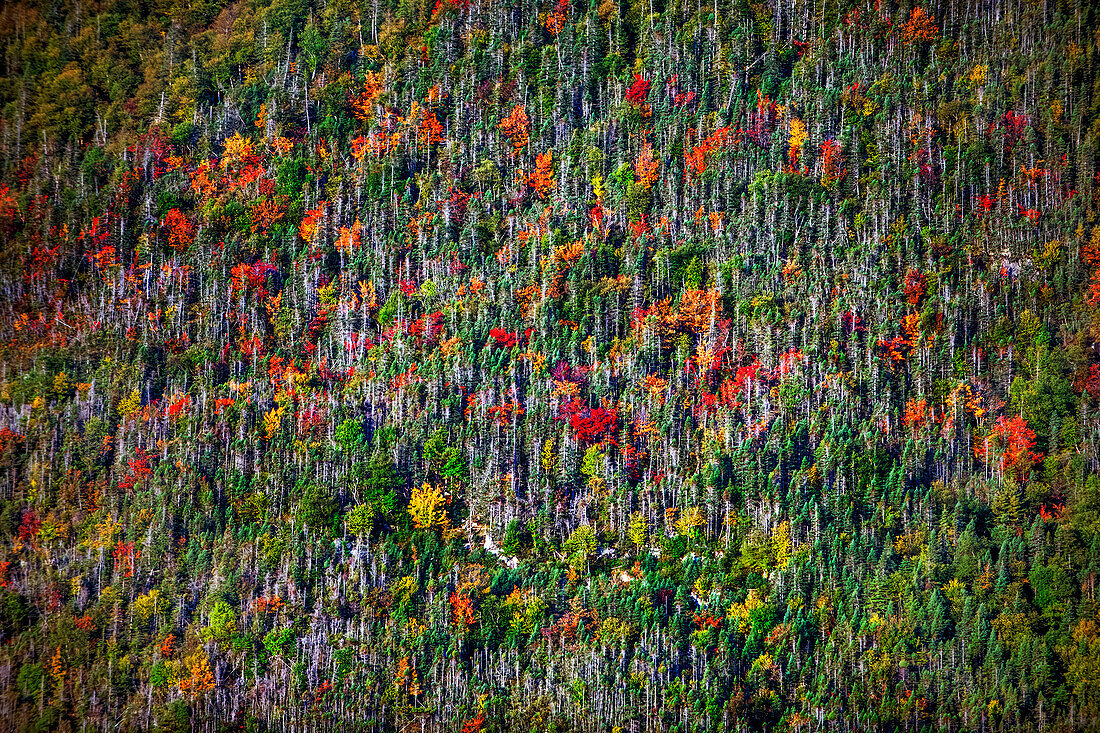 Norris Point mountains in autumn, Bonne Bay and Woody Point seen from the view point at the Jenniex House in Gros Morne National Park, Newfoundland & Labrador, Canada