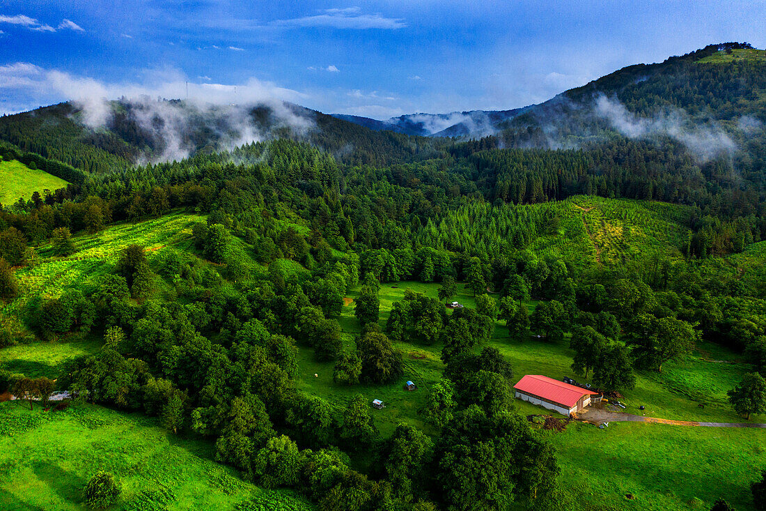 Aerial view green forest pines in Urkiola natural park Urkiolagirre meadows, Bizkaia, Euskadi, Basque Country Spain