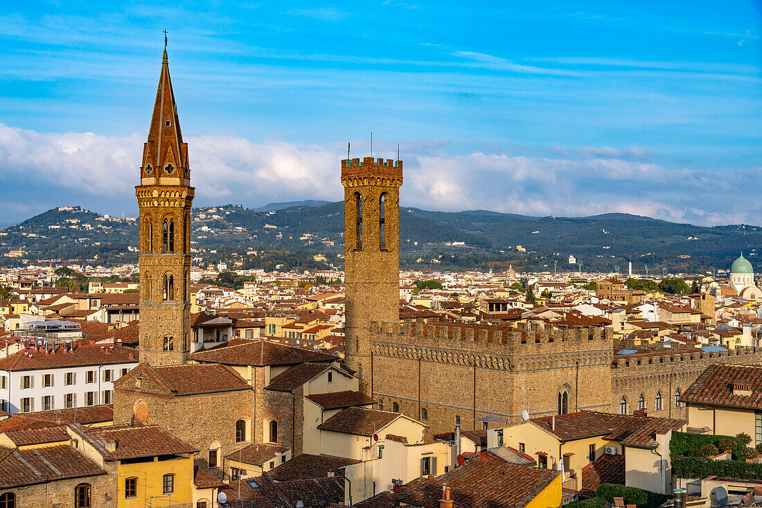 View of the towers of the Badia Fiorentina & Palazzo del Bargello seen from the Palazzo Vecchio tower in Florence, Italy.