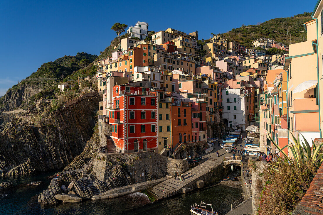 Bunte Gebäude mit Blick auf den Hafen in Riomaggiore, Cinque Terre, Italien.