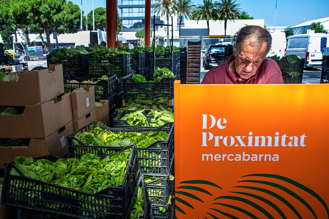 Catalonian local farmers wholesale sale section in Mercabarna Fruit and Vegetable section, in Mercabarna. Barcelona´s Central Markets. Barcelona. Spain