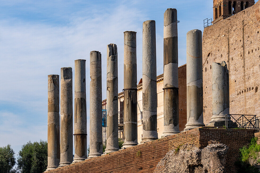 Roman columns along the Via Sacra in the Colosseum Archaeological Park in Rome, Italy.