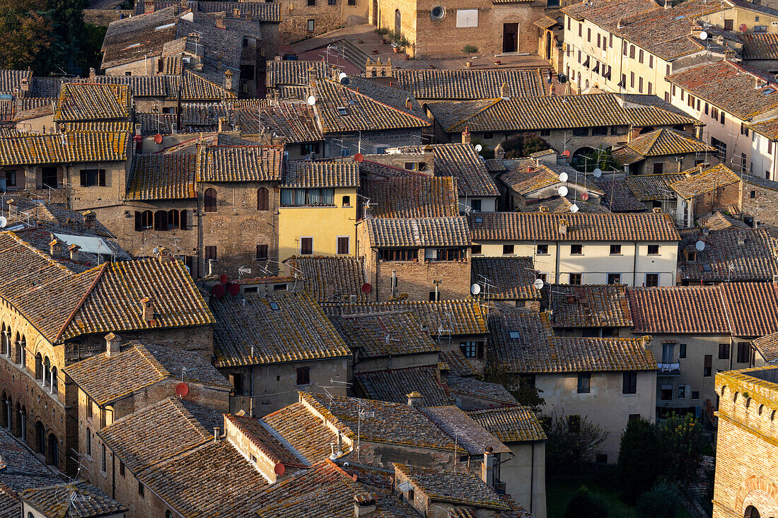 Traditional clay tile rooftops of the medieval buildings in the walled city of San Gimignano, Italy.