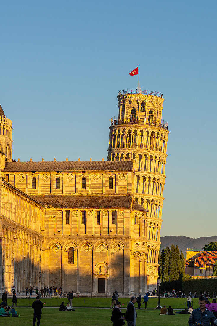 The Leaning Tower of Pisa, the campanile or bell tower of the Duomo or Cathedral of Pisa. Pisa, Italy.