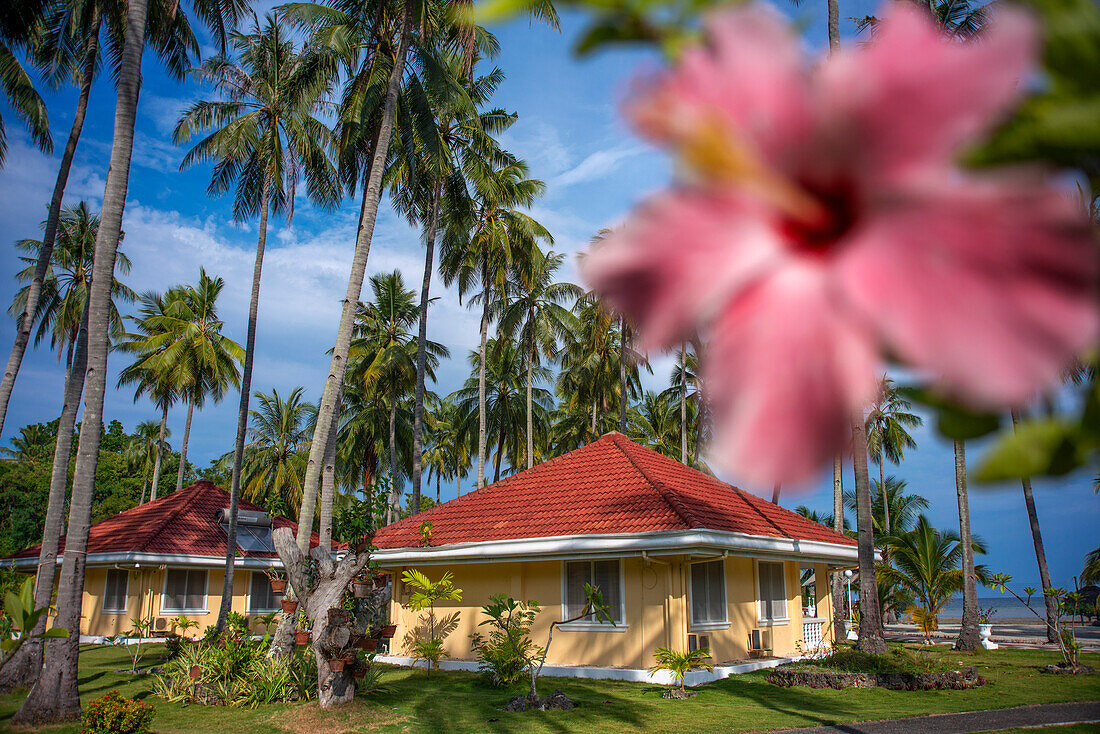 Whispering Palms Inselresort auf der Insel Sipaway, San Carlos City, Negros Occidental, Philippinen