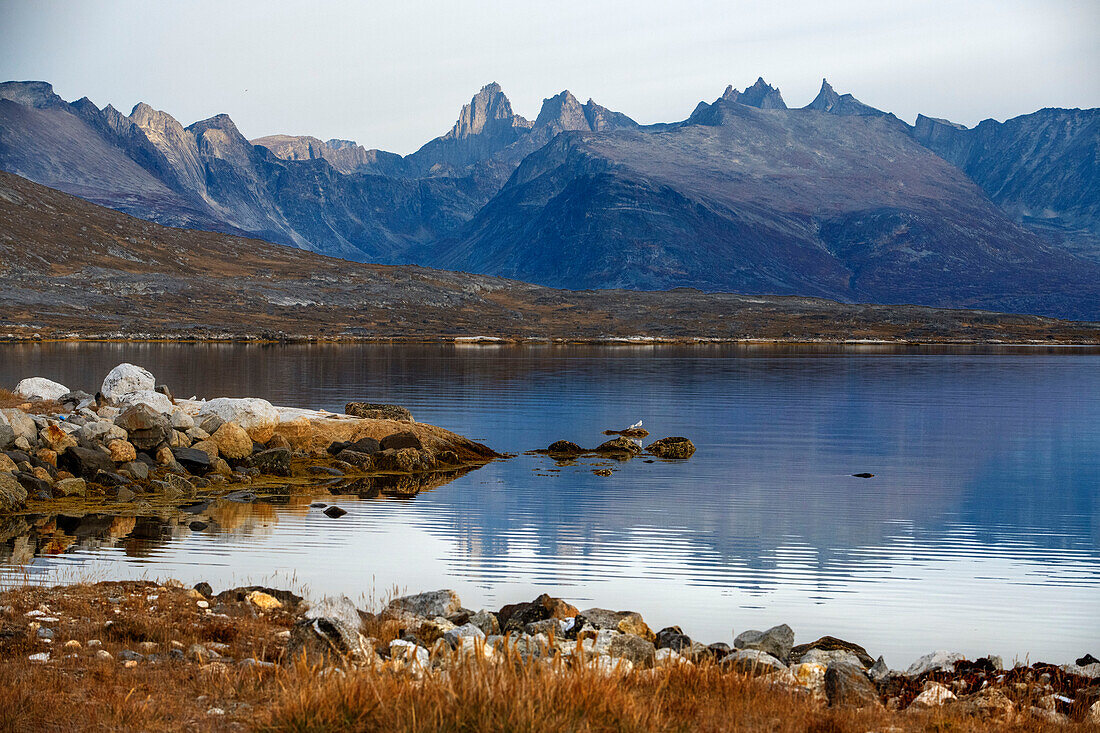 Berge und Landschaften in der Bucht von Nanortalik (Ort der Eisbären), Gemeinde Kujalleq, Südgrönland, Polarregionen