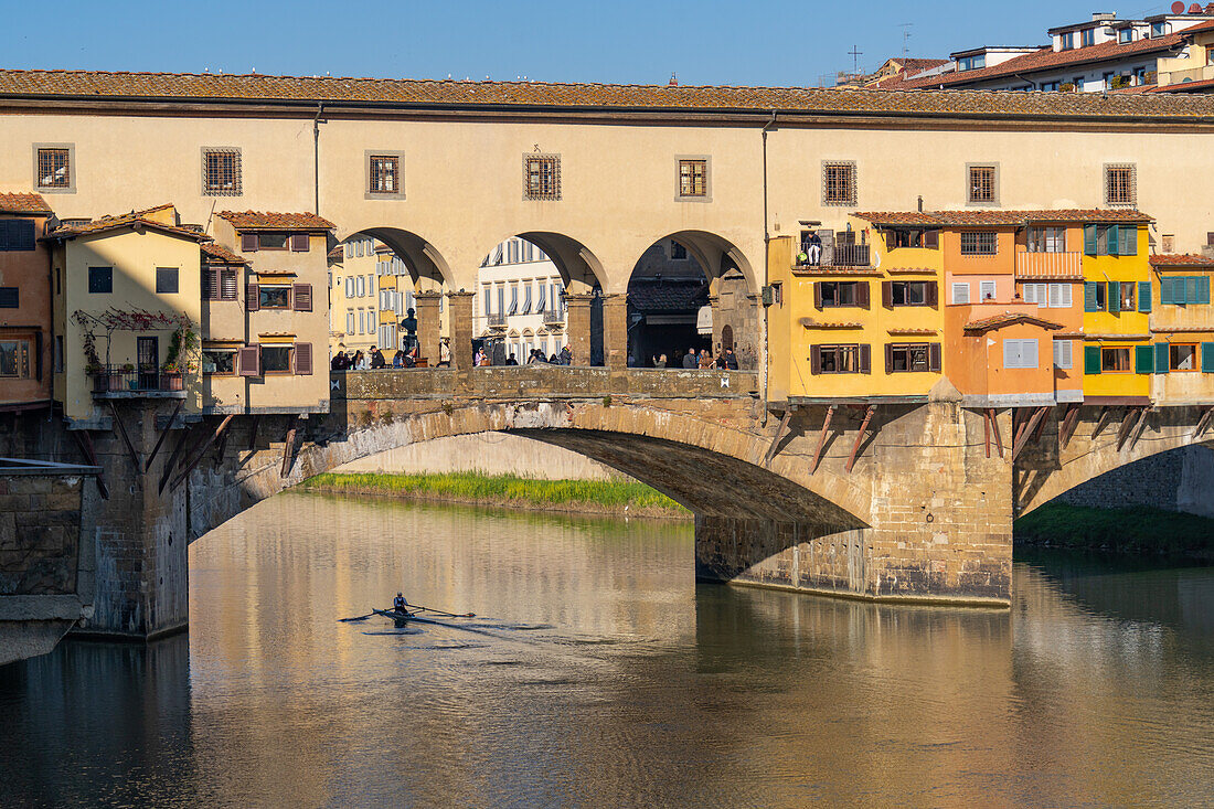 A rower in a scull at the Ponte Vecchio, a medieval stone arch bridge over the Arno in Florence, Italy.