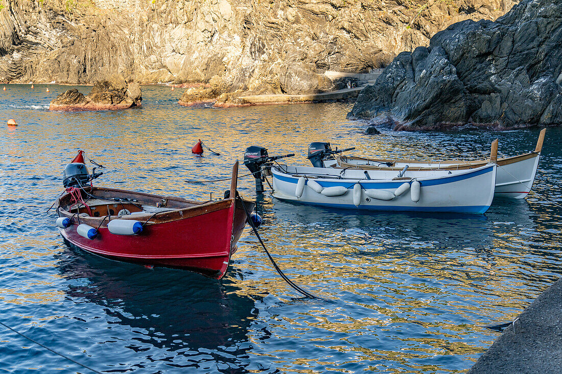 Fishing boats moored in the small harbor of the fishing village of Manarola, Cinque Terre, Italy.