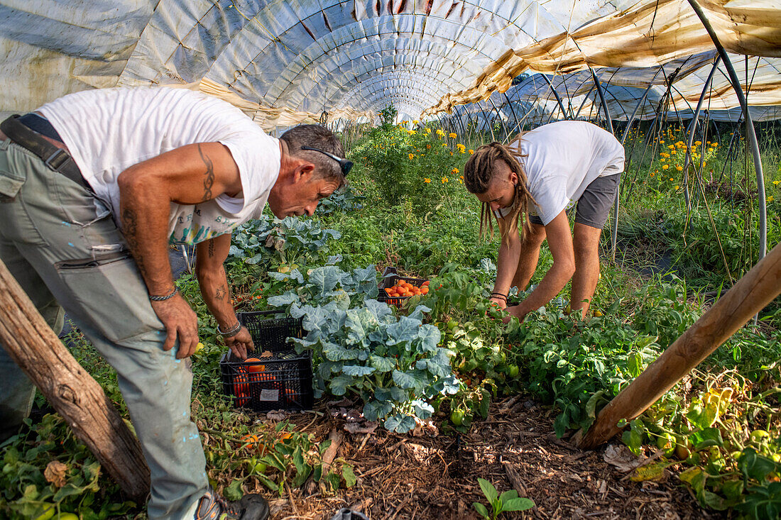 Felder mit regenerativer Landwirtschaft in San Pol de Mar, Ferrer Sustainability Foundation, Barcelona, Spanien, Europa. Die Ferrer Sustainability Foundation ist eine gemeinnützige Organisation, deren Ziel es ist, Leben zu verändern und durch sozialen Zusammenhalt und Umweltschutz auf eine gerechtere und fairere Gesellschaft hinzuarbeiten. Wir führen unsere Arbeit durch zwei Hauptprojekte durch: Ferrer for Food und Green for Good, mit denen wir die größtmögliche Wirkung zum Wohle der Menschen und des Planeten erzielen wollen.