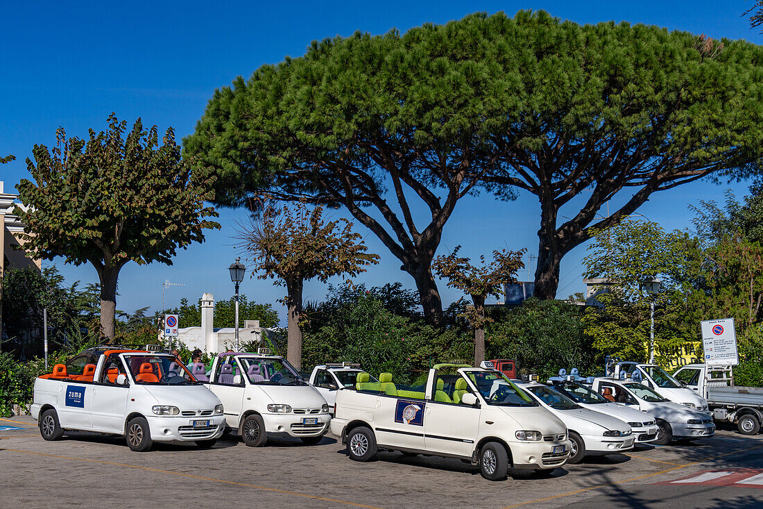 Open-topped taxis waiting for passengers under maritime pine trees in Anacapri, Capri, Italy.