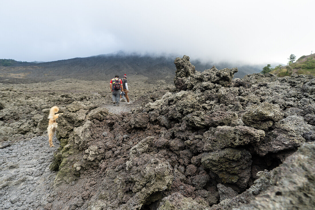 Tourists Hiking the Pacaya Volcano, Guatemala