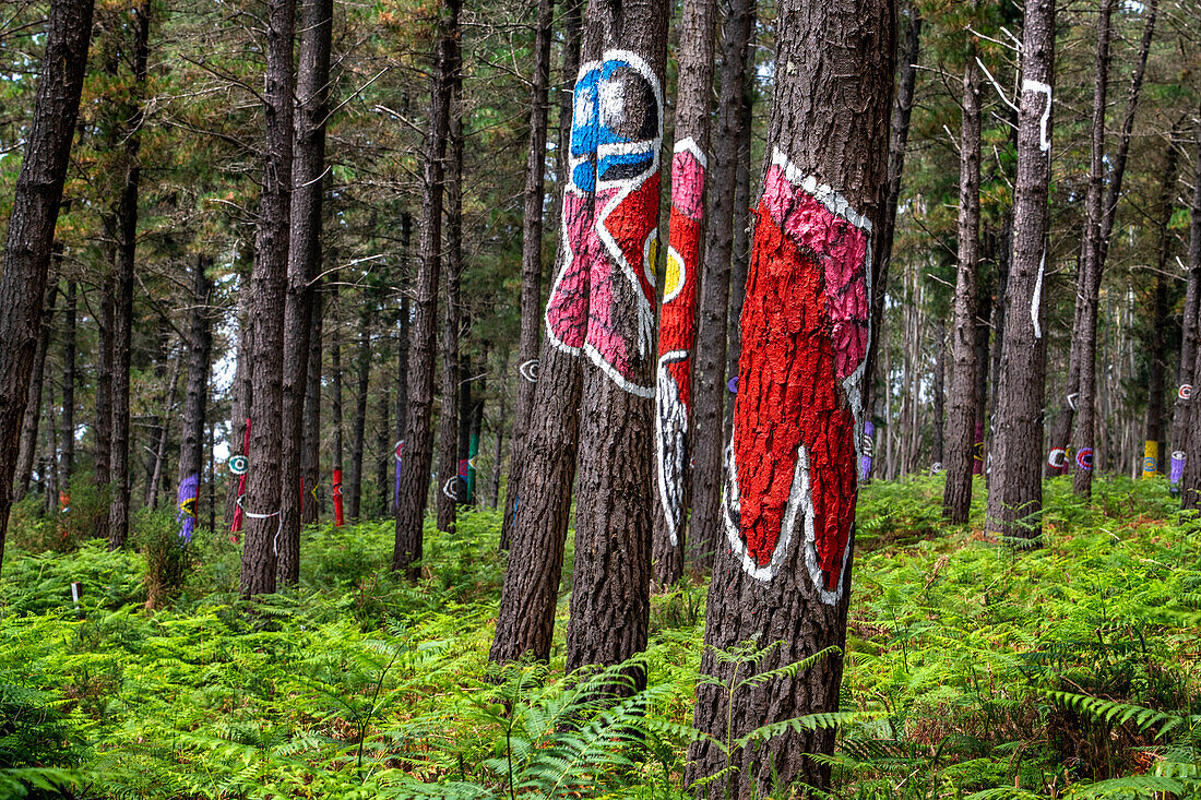 Oma Forest is a work of art by Agustin Ibarrola, a Basque sculptor and painter, in the natural reserve of Urdaibai, Oma, Vizcaya, Basque country Euskadi, Spain