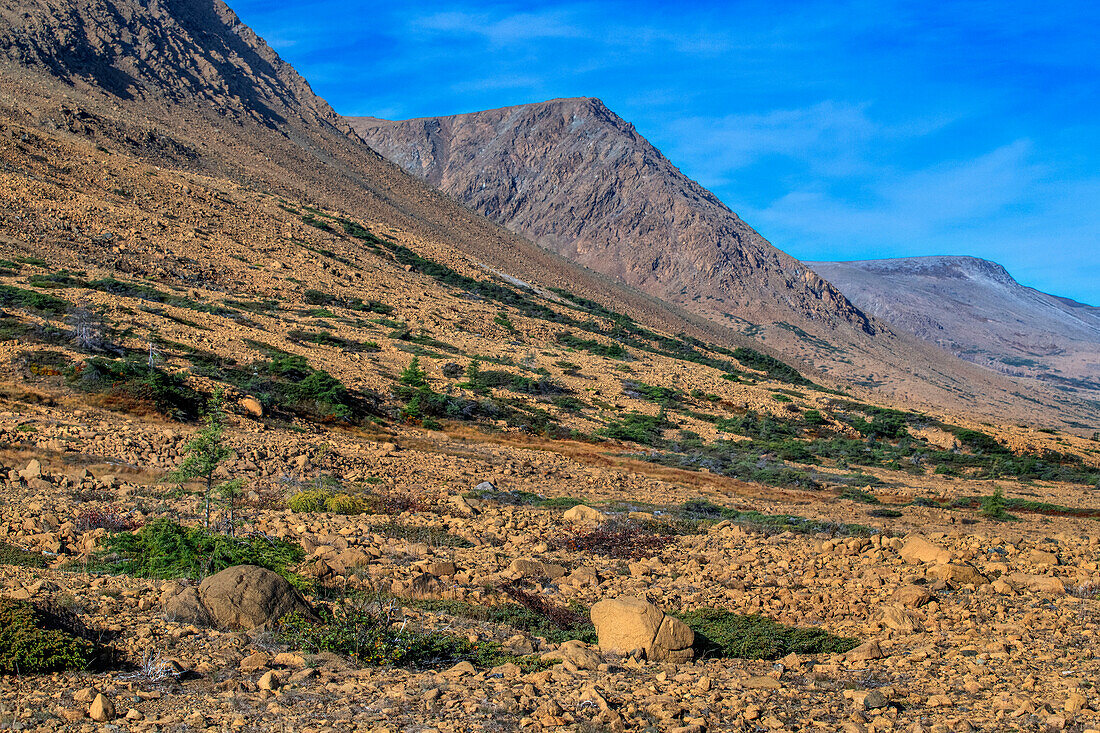 TABLELANDS. Peridotite rock is rare at earth's surface reason for World Heritage Site designation by UNESCO Gros Morne National Park, Newfoundland & Labrador, Canada